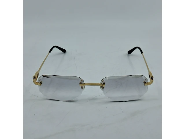 Montuur met glazen cartier, ct0290o - afbeelding 5 van  12