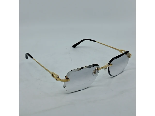 Montuur met glazen cartier, ct0290o - afbeelding 6 van  12
