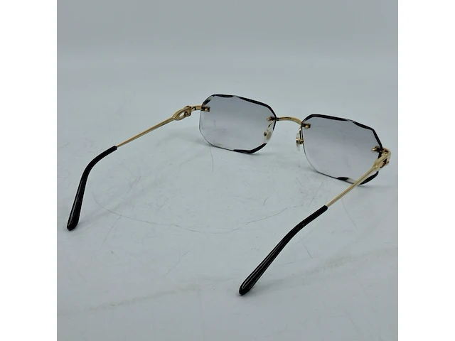 Montuur met glazen cartier, ct0290o - afbeelding 7 van  12