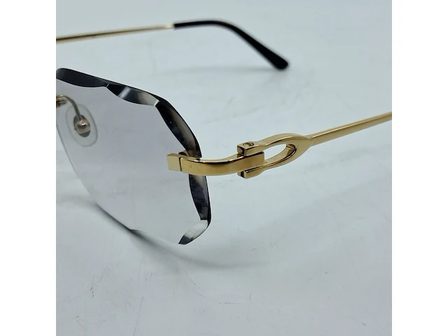 Montuur met glazen cartier, ct0290o - afbeelding 8 van  12