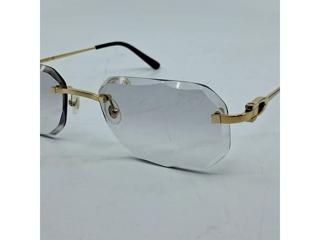 Montuur met glazen cartier, ct0290o - afbeelding 9 van  12