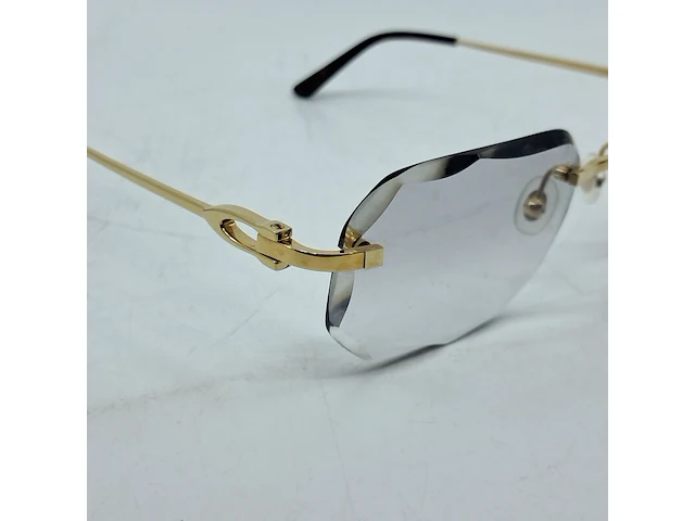 Montuur met glazen cartier, ct0290o - afbeelding 10 van  12