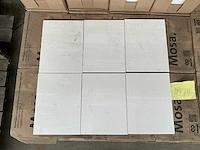 Mosa wandtegels 40m2 - afbeelding 1 van  3
