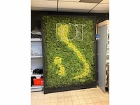 Moswand - afbeelding 4 van  11