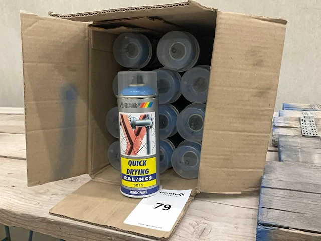 Motip spuitbus verf (12x) - afbeelding 1 van  4