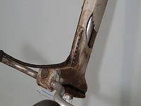 Motor bosmaaier, stihl, fs400 - afbeelding 9 van  12