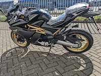 Motor, trmotor, tr125-2 gp1, zwart/goud, 2025 - afbeelding 17 van  20