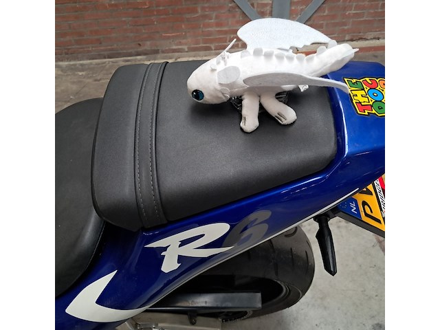 Motor, yamaha, yzf r6, 2001 - afbeelding 49 van  64