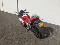 Motorfiets trmotor, tr125-2, bouwjaar 2024 - afbeelding 36 van  36