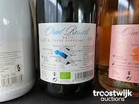 Mousserende wijn - afbeelding 16 van  28