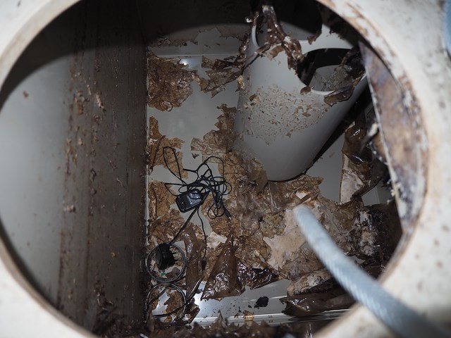 Mps - afbeelding 2 van  14