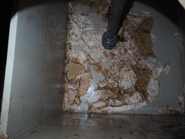 Mps - afbeelding 3 van  14