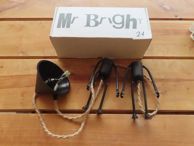 Mr bright - fun for two - plafondlamp - afbeelding 1 van  1