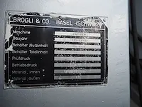 Multi-homo - afbeelding 4 van  12