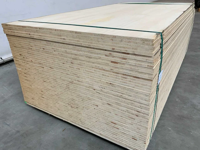 Multiplex 5-laags 2440x1220x16mm (34x) - afbeelding 1 van  5
