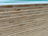 Multiplex 5-laags 2440x1220x16mm (47x) - afbeelding 5 van  6