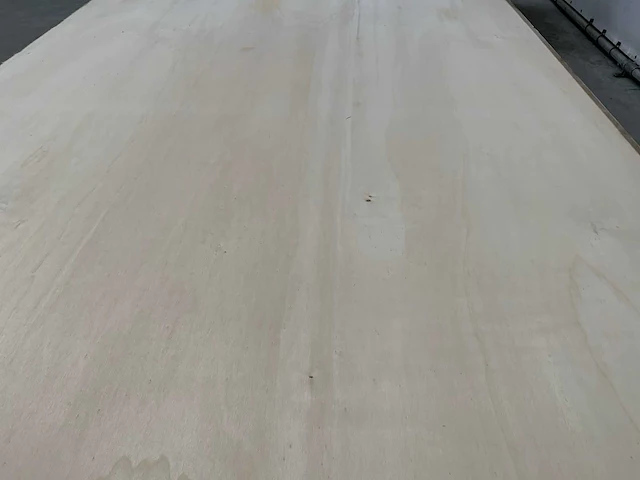 Multiplex 5-laags 2440x1220x16mm (47x) - afbeelding 6 van  6