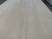 Multiplex 5-laags 2440x1220x16mm (47x) - afbeelding 6 van  6