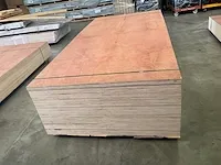 Multiplex - afbeelding 5 van  6