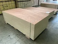 Multiplex - afbeelding 3 van  6
