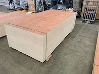 Multiplex - afbeelding 4 van  6