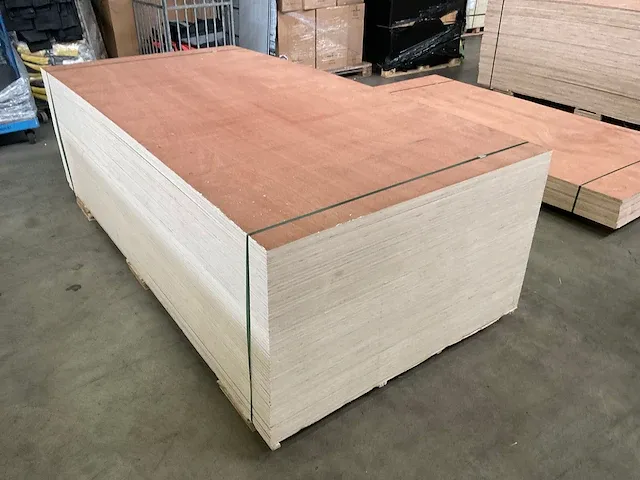 Multiplex - afbeelding 6 van  6
