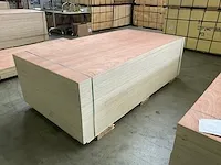 Multiplex - afbeelding 1 van  6