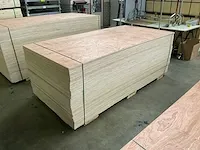Multiplex - afbeelding 1 van  6