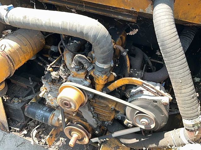 Mustang bobcat - afbeelding 25 van  31