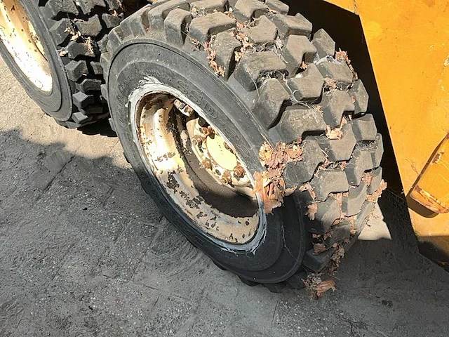 Mustang bobcat - afbeelding 30 van  31