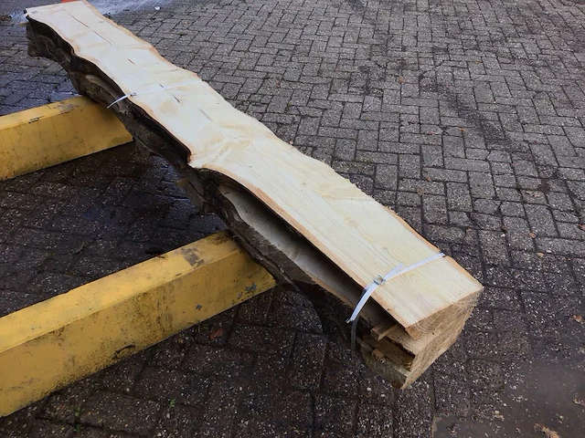 Naaldhout (3x) - afbeelding 5 van  8