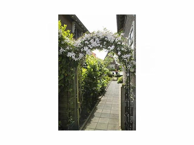 Nature rozenboog metaal h229 x 113 x 38cm - afbeelding 2 van  2