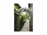 Nature rozenboog metaal h229 x 113 x 38cm - afbeelding 2 van  2