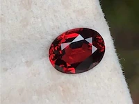 Natuurlijke granaat - 1.445ct, bloed rood - afbeelding 1 van  1