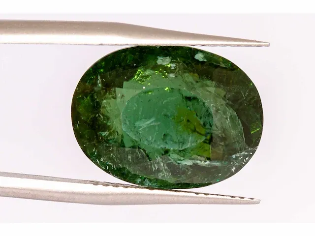 Natuurlijke paraiba toermalijn (groen) 11,97 karaat - afbeelding 1 van  10