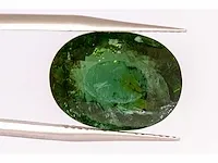 Natuurlijke paraiba toermalijn (groen) 11,97 karaat - afbeelding 1 van  10