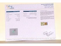 Natuurlijke smaragd (lichtgroen) 1,23 karaat - afbeelding 8 van  8