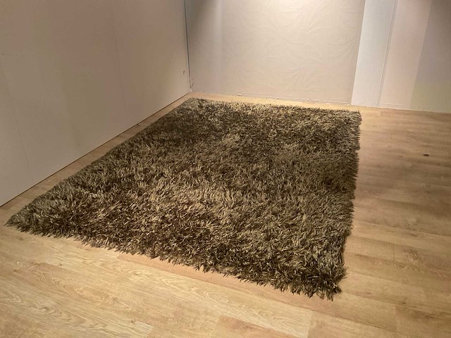 Natuzzi betsi vloerkleed - afbeelding 1 van  11