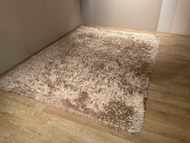 Natuzzi betsi vloerkleed - afbeelding 1 van  11