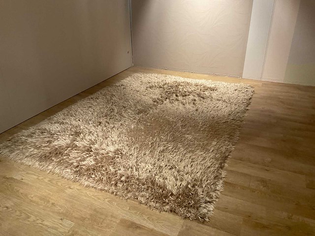 Natuzzi betsi vloerkleed - afbeelding 4 van  10