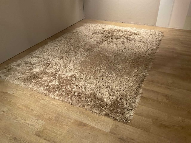 Natuzzi betsi vloerkleed - afbeelding 5 van  10