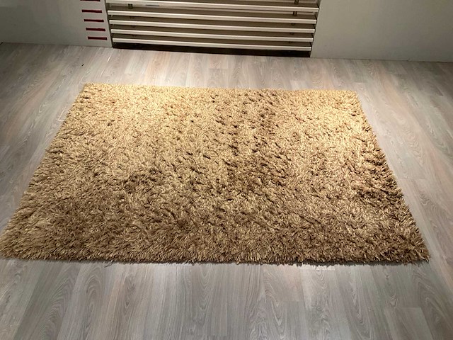 Natuzzi malinke vloerkleed - afbeelding 1 van  11