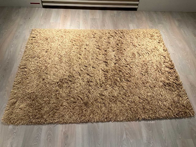 Natuzzi malinke vloerkleed - afbeelding 4 van  11