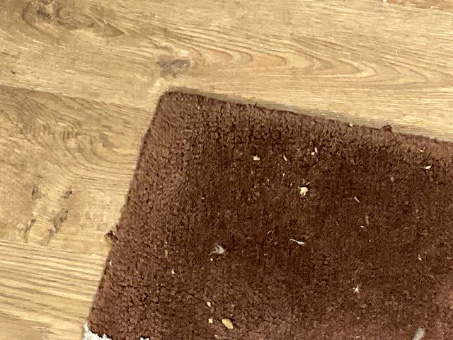 Natuzzi vloerkleed - afbeelding 7 van  10