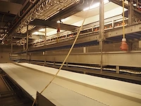Nawi - afbeelding 11 van  30