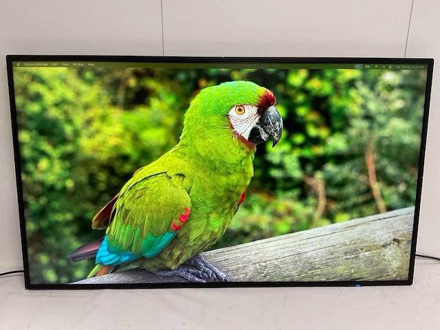 Nec (v484) 48”, 1920x1080 (fhd) lcd monitor - afbeelding 1 van  7