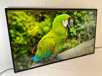 Nec (v484) 48”, 1920x1080 (fhd) lcd monitor - afbeelding 3 van  7
