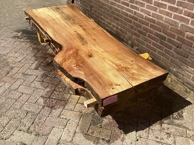 Nederlands iepen (2x) - afbeelding 1 van  7