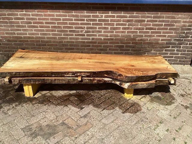 Nederlands iepen (2x) - afbeelding 2 van  7