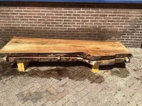 Nederlands iepen (2x) - afbeelding 2 van  7